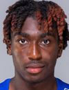 Tanguy Zoukrou au BSC Young Boys? #1, Tanguy Zoukrou au BSC Young Boys? #2, Tanguy Zoukrou au BSC Young Boys? #3 ?